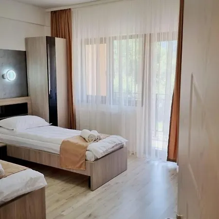 Pensiunea Dario Guest house