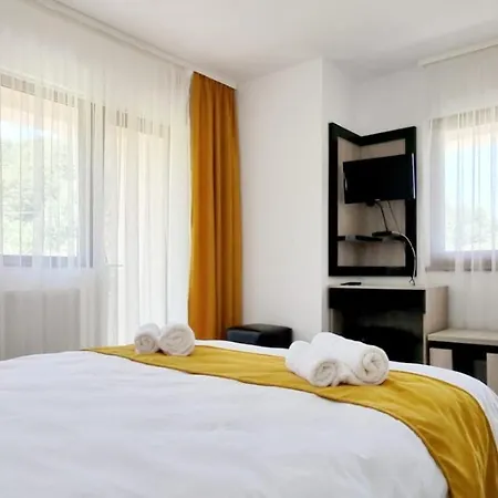 Guest house Pensiunea Dario Uricani (Hunedoara)